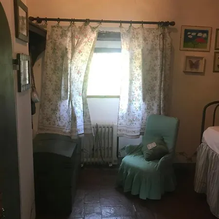 Il Molinaccio سان ليو