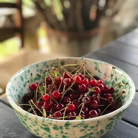 Il Molinaccio فندق مبيت وإفطار